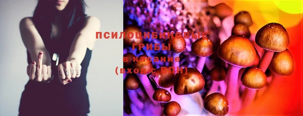 соль ск Тихвин
