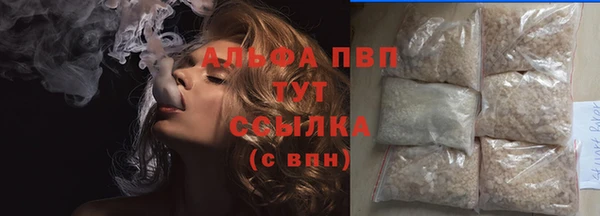 крисы Гусев
