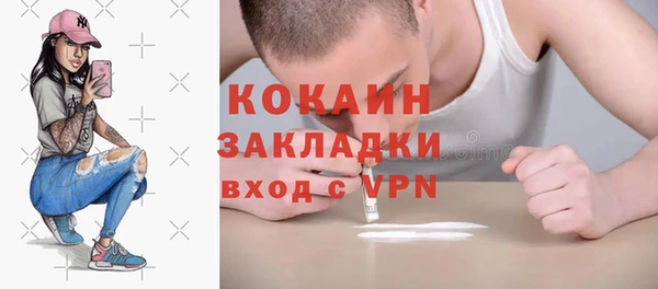 гидра Гусь-Хрустальный