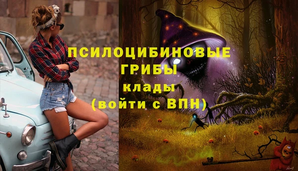 гидропоника Тында