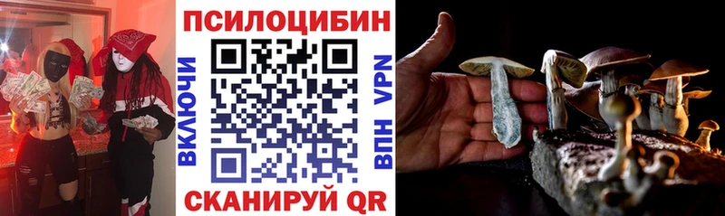 купить закладку  Гремячинск  Псилоцибиновые грибы Psilocybine cubensis 